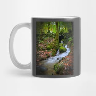 Lake District Waterfall Mug